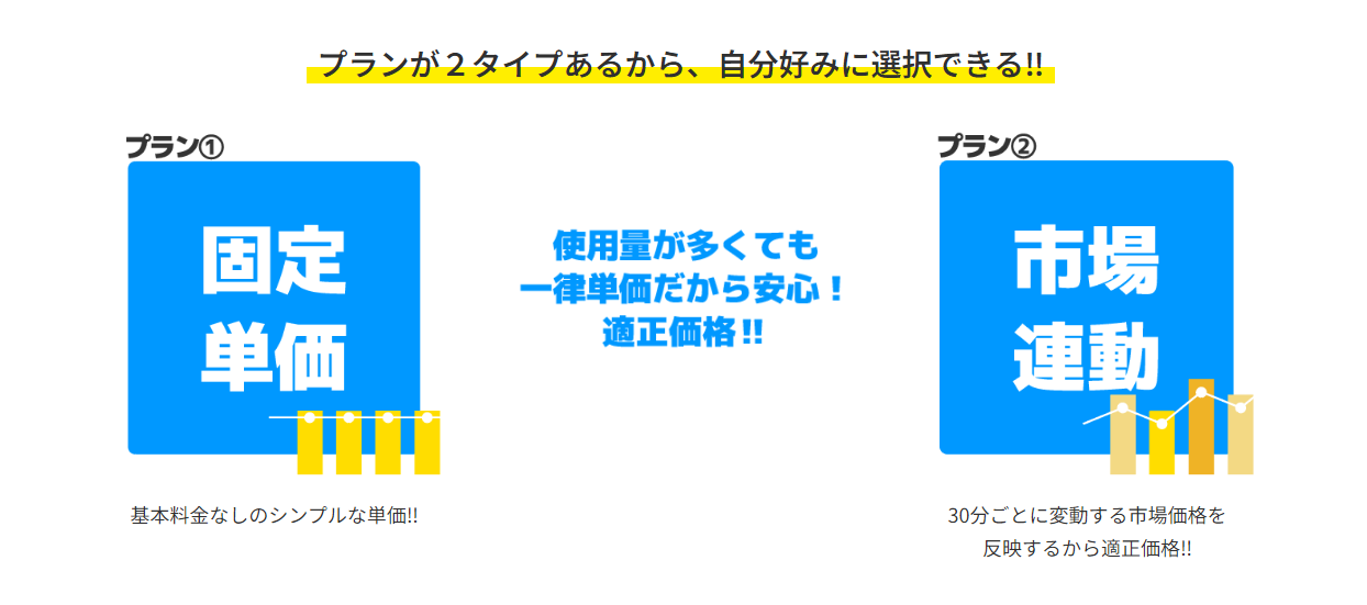 エルピオ電気の2つのプラン