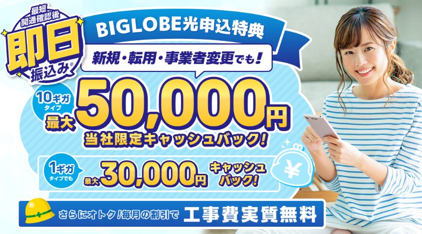 ビッグローブ光×アウンカンパニーのLP画像