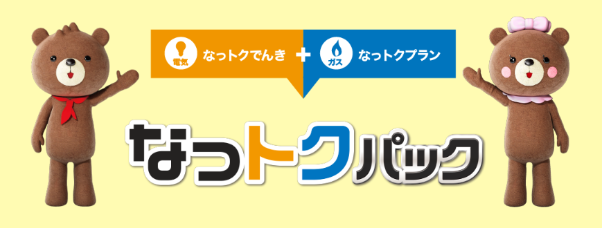 関西電力 なっトクパック