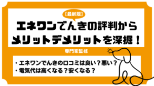 エネワンでんきの評判は？口コミを深堀してわかったメリットデメリットを徹底解説【2025年最新】