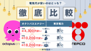 オクトパスエナジーと東京電力を比較！電気料金が安いのは？料金プランやキャンペーンについても徹底解説