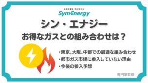 シン・エナジーの最適なガスの組み合わせを紹介