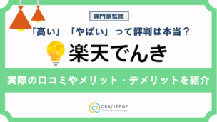 楽天でんき評判