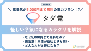タダ電 怪しい
