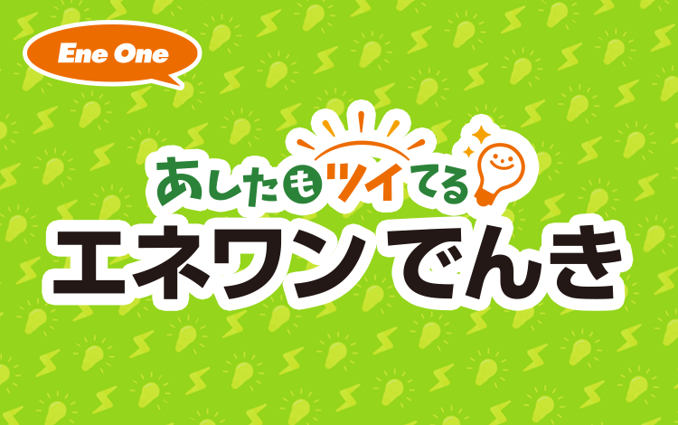 エネワンでんき