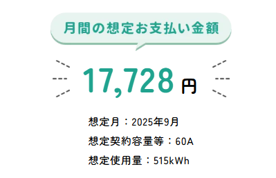 リボンエナジーシミュレーション_東京4人暮らしオール電化太陽光