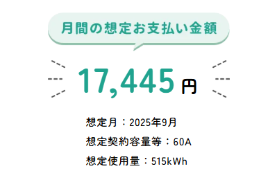 リボンエナジーシミュレーション_東京4人暮らしオール電化太陽光蓄電池