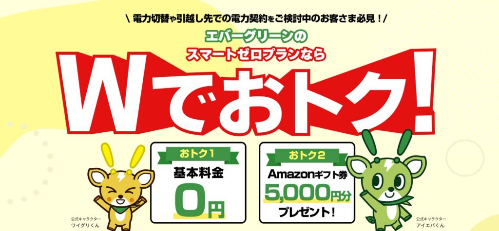 エバーグリーンスマートゼロプランFV