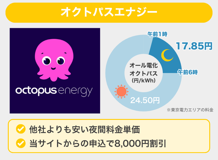 オクトパスエナジー オール電化オクトパス 概要